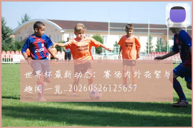 世界杯最新动态:赛场内外花絮与趣闻一览_20260526125657