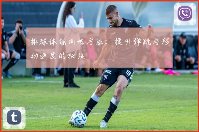 排球体能训练方法：提升弹跳与移动速度的秘诀